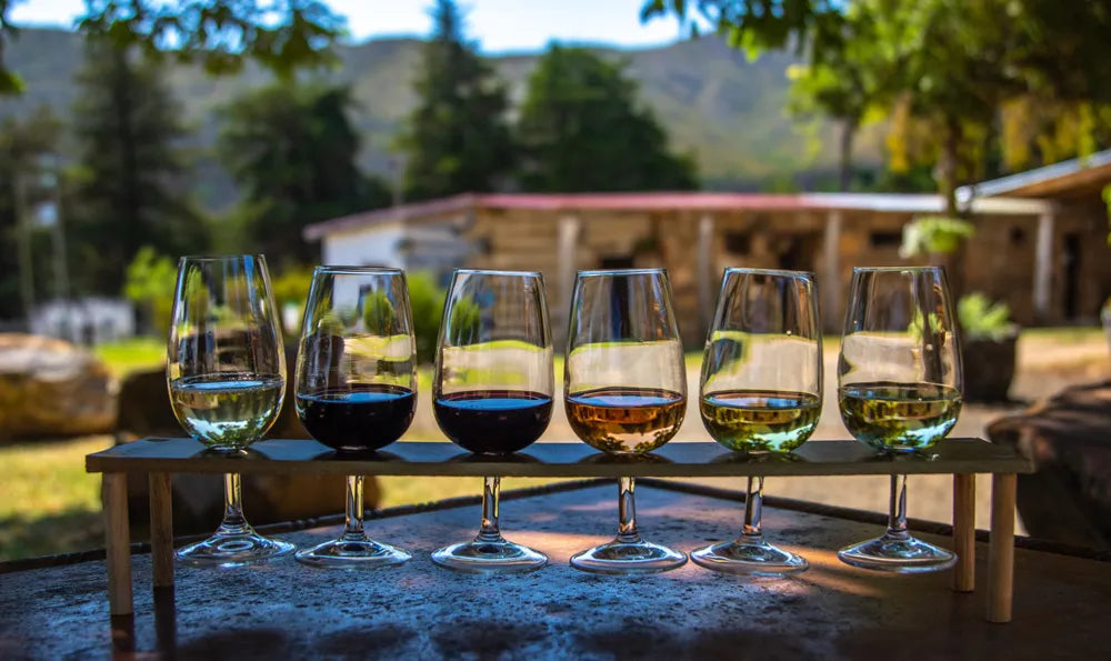 Which Wine to Drink First?